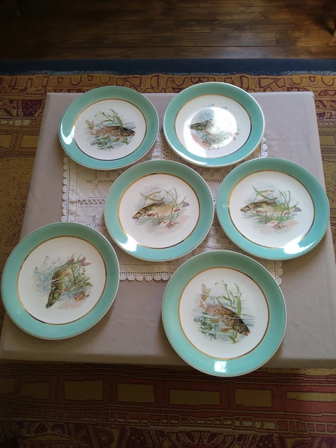 Lot61 : 6 Petites Assiettes Plates Vintage Arcopal France D 19,5 Cm