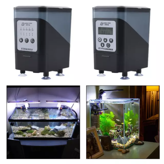 Distributeur automatique de nourriture pour poissons, Durable, capacité de