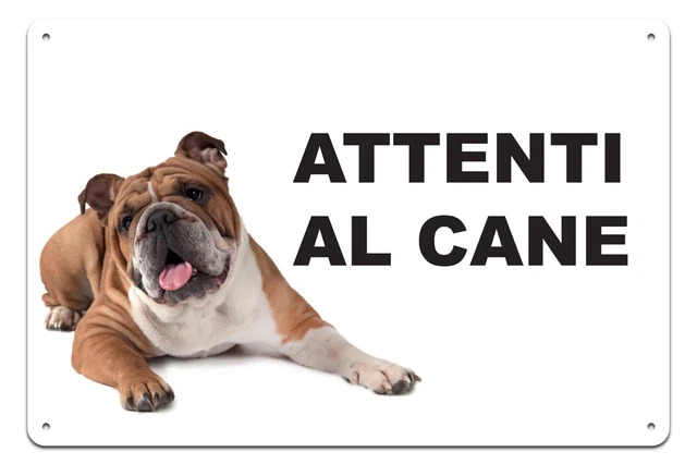 Cartello 'Attenti Al Cane' Con Bassotto - In Metallo, Misure 15x20cm - Foto 9