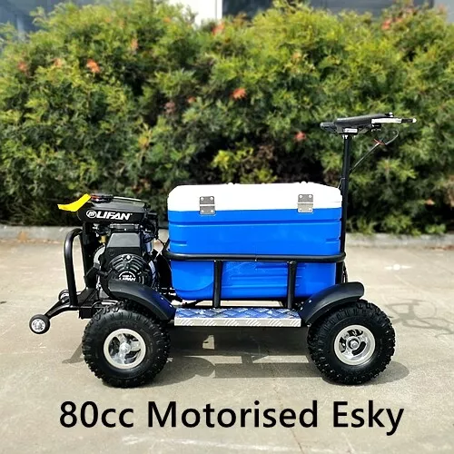 80cc Motorised Esky Cooler Scooter 4 Wheel Motorbike Atv Quad Icebox Esky Lifan