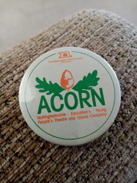 Nottingham County Council acorn pin badge k7