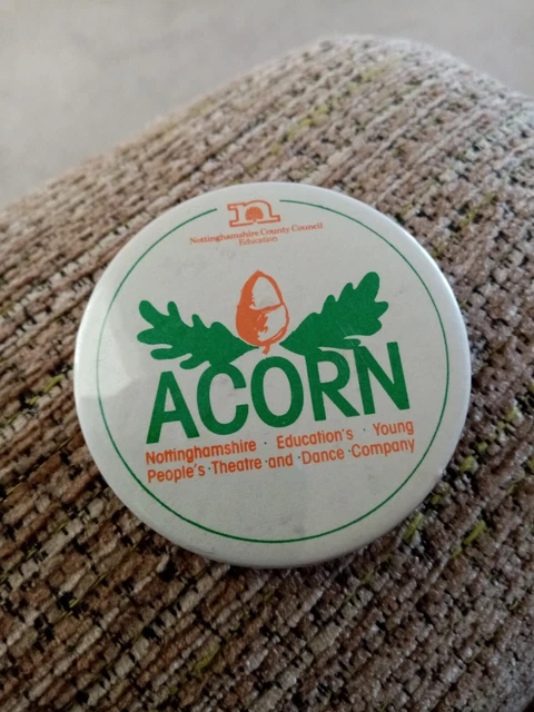 Nottingham County Council acorn pin badge k7