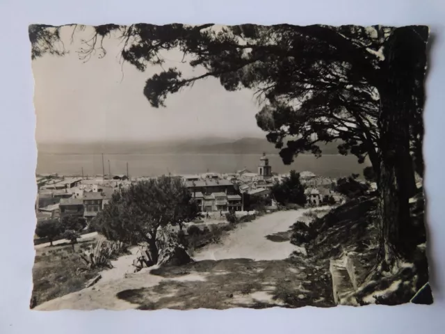 83 Var Carte Postale  Saint-Tropez N°144