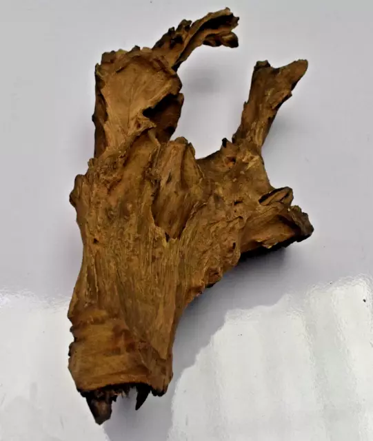 Natural Tree Trunk Driftwood Aquarium Fish Reptile Landscape Deco Length 12 inch