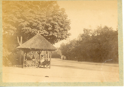 France, paris, the Bois de vincennes, view on the bandstand vintage albumen prin