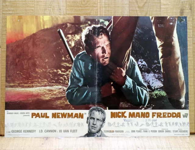 NICK MANO FREDDA fotobusta poster affiche Paul Newman Cool Hand Luke BH32