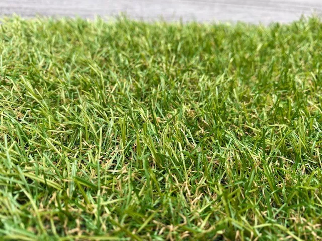 Amber 20mm Artificial Grass £6.99/m² Astro Turf Garden Fake 1m 2m 3m 4m 5m CHEAP 2