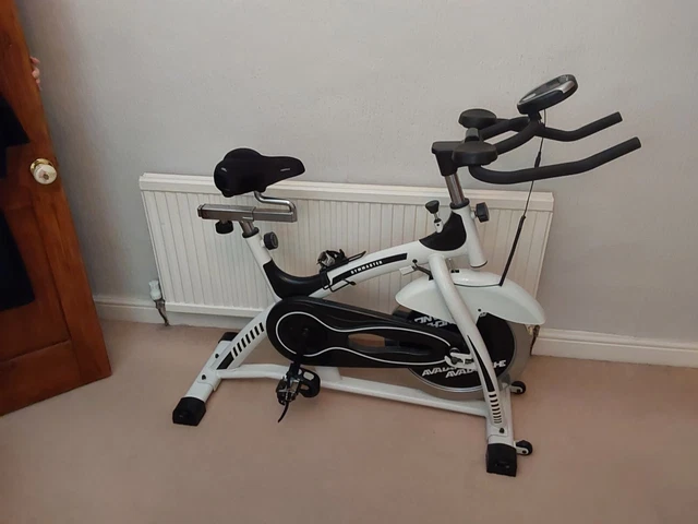 Avalanche spinit indoor bike review cheap