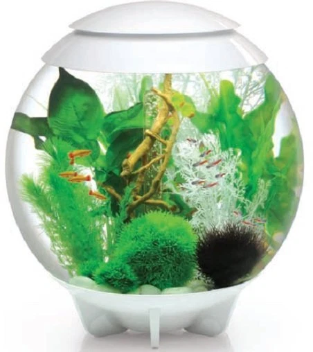 biOrb Halo MCR Led 30L White Aquarium Fish Tank All In One