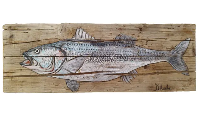 Quadro dipinto a mano su tavola legno di recupero riciclato pesce spigola
