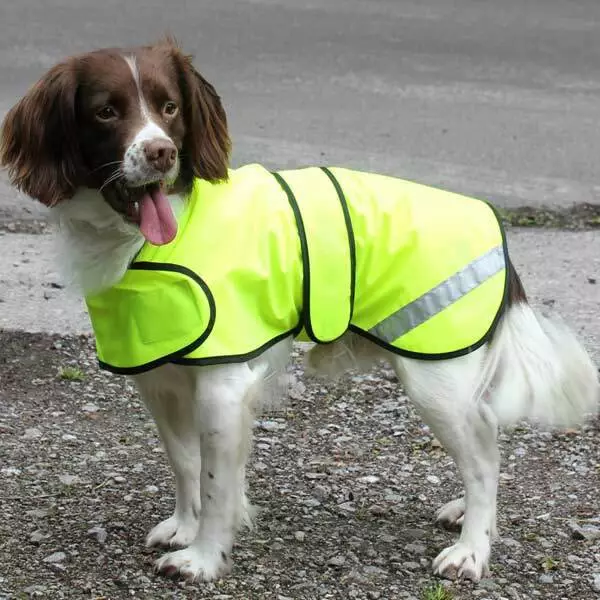 Cosipet Hi-Vis Safety Coat for Dogs
