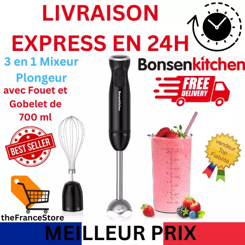 3 en 1 Mixeur Plongeur Electrique 1000W avec Fouet à œufs, Gobelet de 700 ml