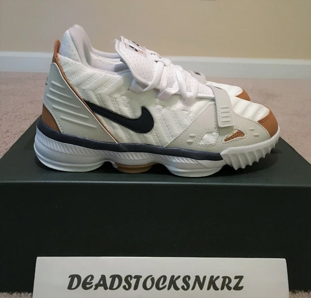 NIKE LEBRON XVI 16 Air Trainer Medicine Ball PS CJ6705 100  display picture 1