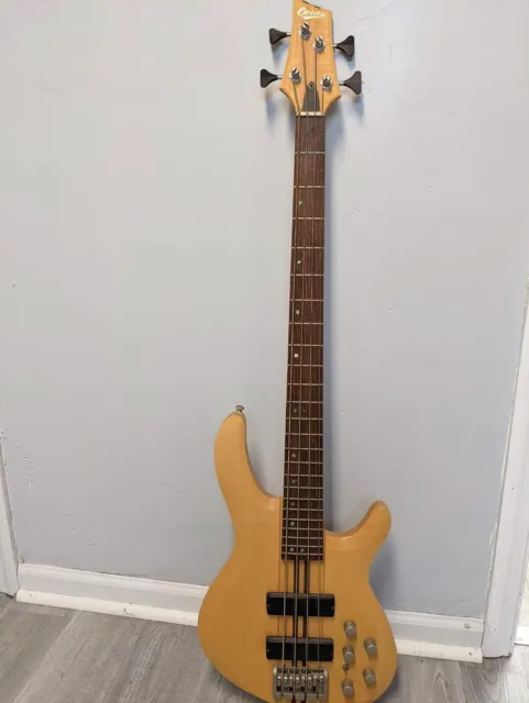 4-string Laguna Ocean electric bass guitar 