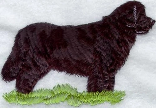 Embroidered Sweatshirt - Newfoundland I1146 Sizes S - XXL