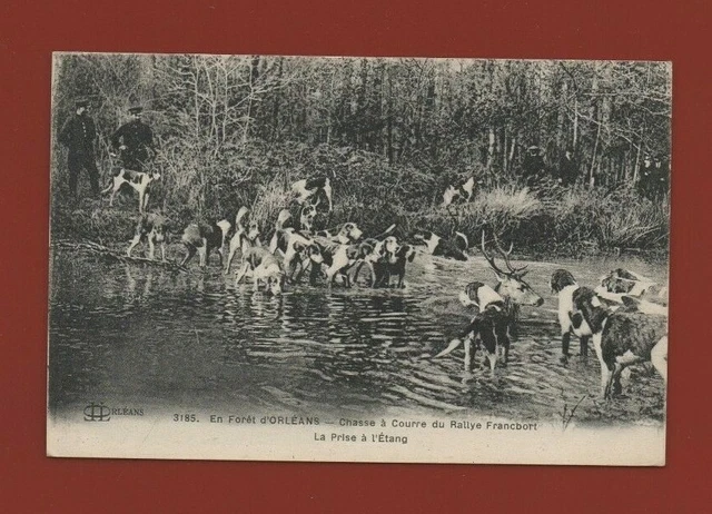 CPA LES BORDES - Chasses a Courre en Foret d'ORLÉANS - L'attaque (632274