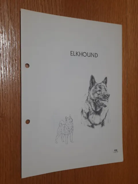 Elkhound Breed Supplement RAS Kennel Control Hounds Group 4