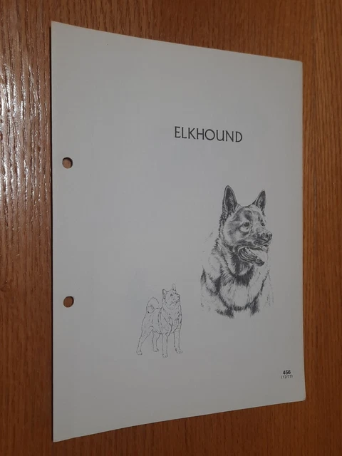 Elkhound Breed Supplement RAS Kennel Control Hounds Group 4