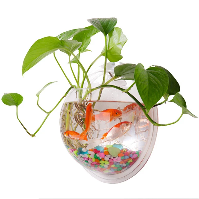 Wall Hanging Fish Tank Acrylic Fish Bowl Hanging Decorative EY