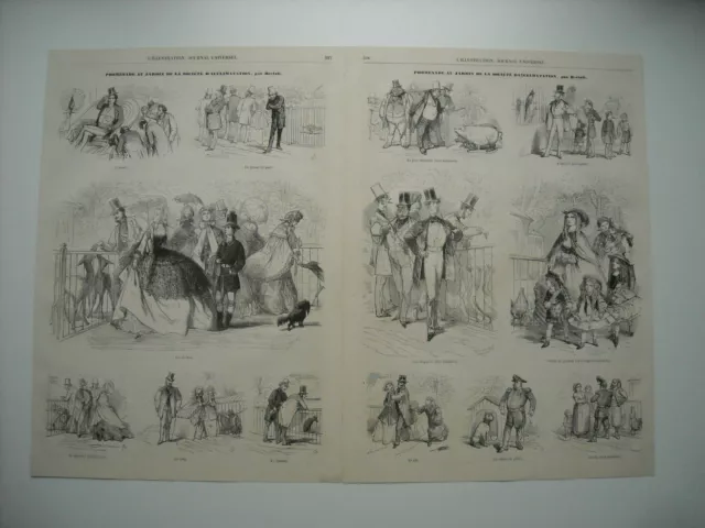 1860 Cartoons. Walk To The Garden Of The Acclimatization Society, By Bertall.