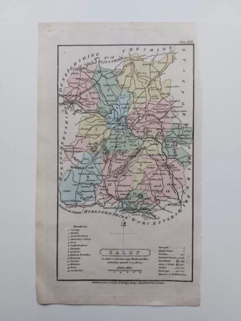 Antique 19Th Century County Map Salop Shropshire R Phillips 1808