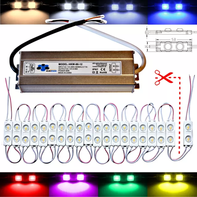 1-100 - 2er LED Module - Blanc Chaud Froid - Travo 12V 0,72W Publicité Éclairage