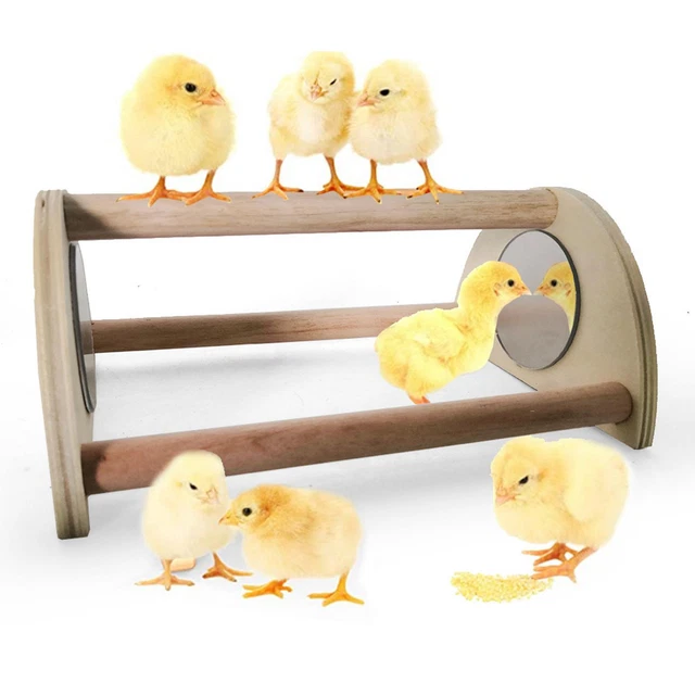 4 Poussins Sautants Mécaniques En Peluche – Jouet à Remonter – Sans Pile – Cadeau Surprise – Couleurs Aléatoires