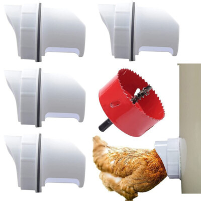 XQxiqi689sy Giardino allaperto Alimentatore Automatico Fowl pollame Allevamento Acqua mangime 