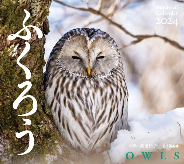 CALENDAR 2024 OWL (moon flip/wall) (Yamake Calendar 2024) 29.89