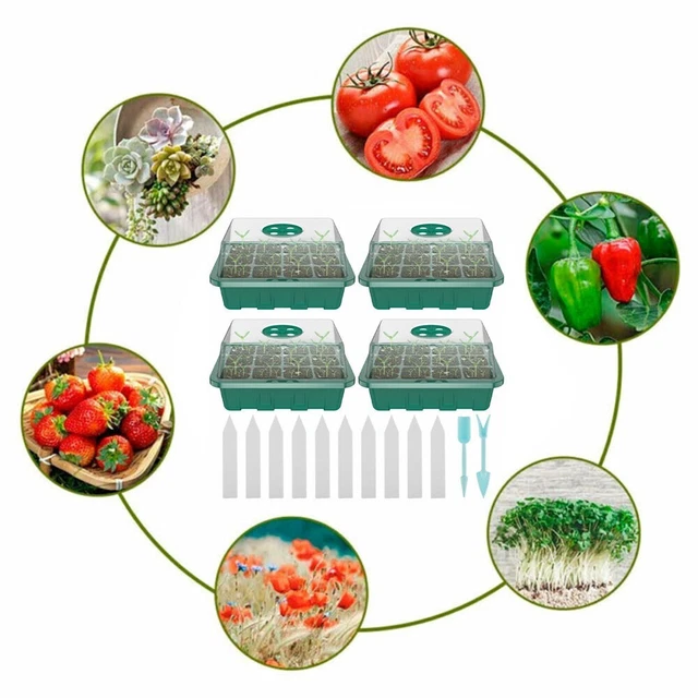 4x mini serre fiable et efficace 12 compartiments germination optimale