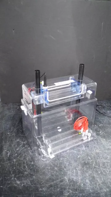 C.b.s. Scientific Dasg-250-02 Adjustable Dual Vertical Electrophoresis Cell