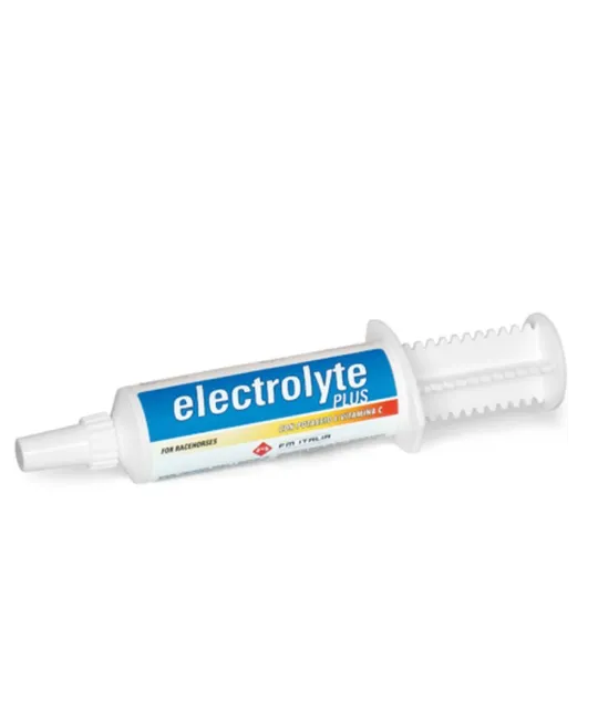 Gel réhydratant ELECTROLYTE PLUS prêt à l'emploi tube de seringue à dose unique