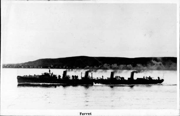 BRITISH ROYAL NAVY Battleship Destroyer HMS Ferret SHIPPING NAVAL OLD