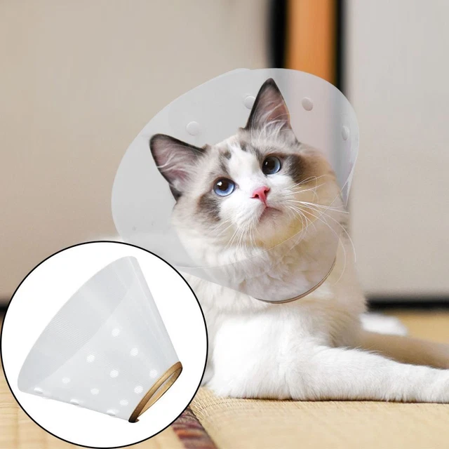 Cat Recovery Neck Cone Cat Kitten Recovery Collar Elizabeth Circle Conical