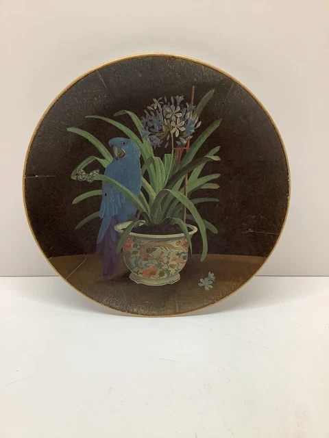 Vintage 10” hand painted Parrot charger plate no markings excellent condition