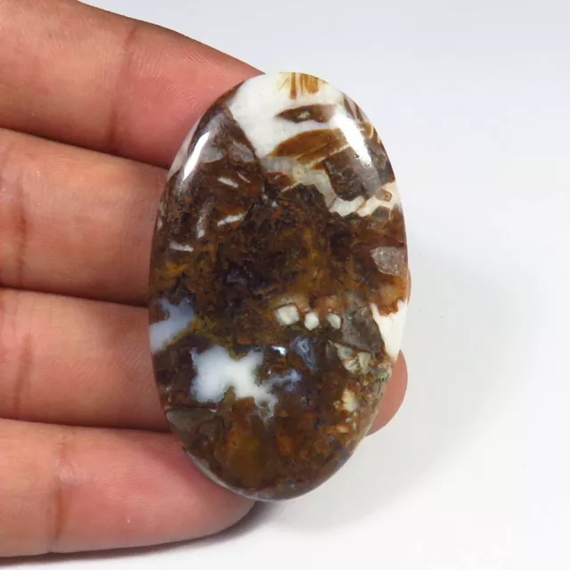 Natural Jasper Wild Horse Gems 45x27 mm Brown Smooth Horse Oval Cabs 58Cts WJ-29