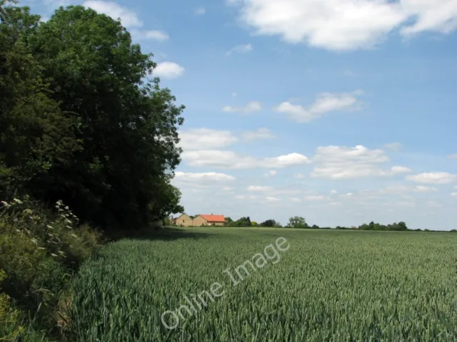 Photo 12x8 Wheatfield and the edge of Fen Ditton This view from the north  c2011