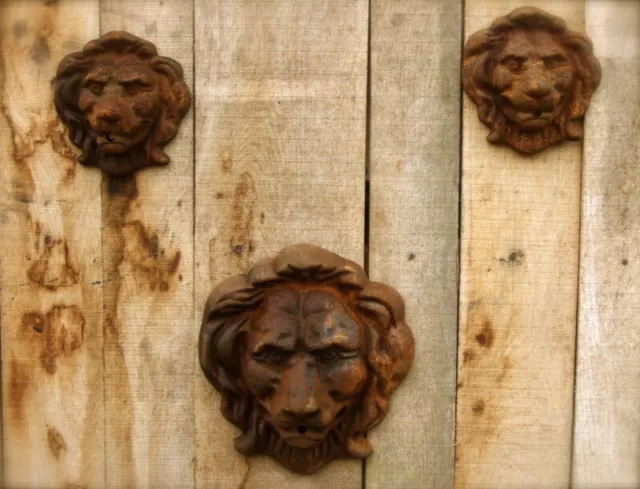 Löwenkopf Wasser Auslauf für Wandbrunnen - Brunnen - Dekoration Wand Speier 2