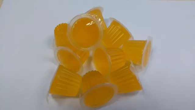 100 Beetle Jelly Food ORANGE Fruit Jellys Beetlejelly Fruitjelly Reptilien Käfer