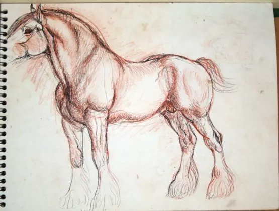 #1 Maureen Love Original Sketches Dairy Cows and Draft Horse "Benny"
