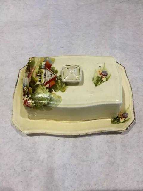 Royal Winton Grimwades Chintz Ascot Shape Butter Dish