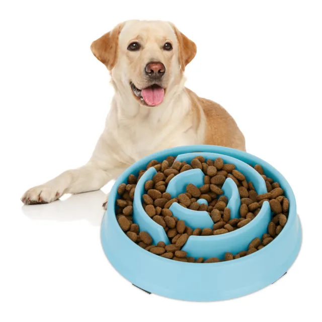 Ciotola anti-ingozzamento cani mangiatoia assunzione 400 ml lenta cibo dogs