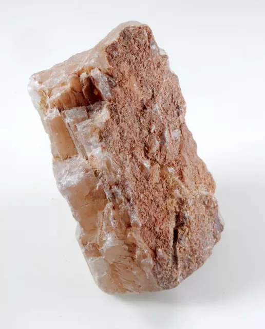 Natural Earth Minded Untreated 835.00 Ct Champion Topaz Rough Loose Gemstone