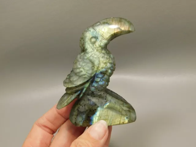 Toucan Bird Figurine Labradorite Animal Hand Carved Stone Totem #O358 2