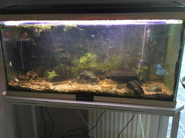 aquarium fish tank and stand