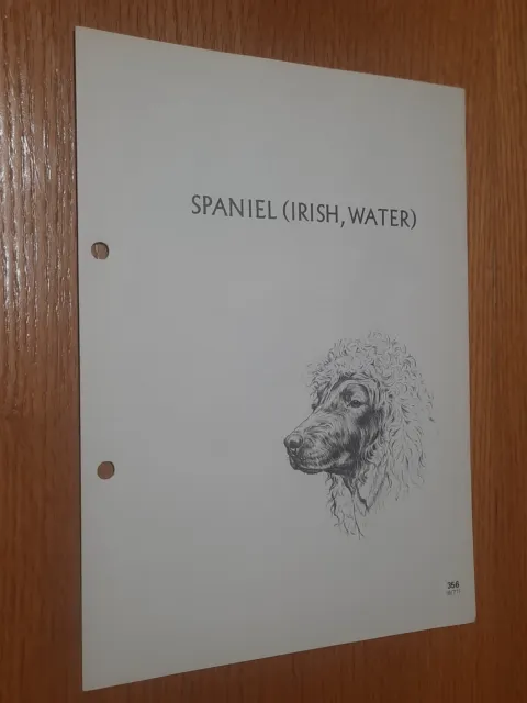 Irish Water Spaniel Breed Supplement RAS Kennel Control Gundogs Group 3