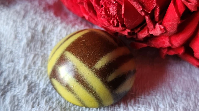 Bouton ancien en celluloïd Bombé marron créme 2,3 cm G9Q