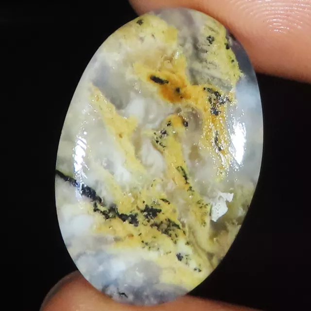 19.80 Carats Naturel Tigre Dendrite Agate Ovale Cabochon Gemme 18x26x4 MM GQ-94