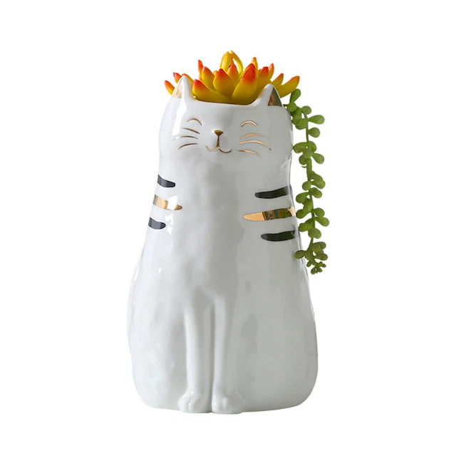 Sukkulenten Pflanzer Tier Home Cafe Desktop Dekorative Blumentopf Kaktus