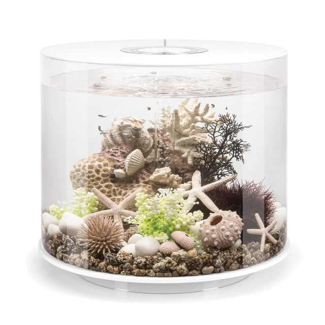 biOrb Tube 35 Aquarium with Standard Light, 9.2 Gallon, White